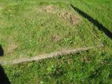 image of grave number 249201